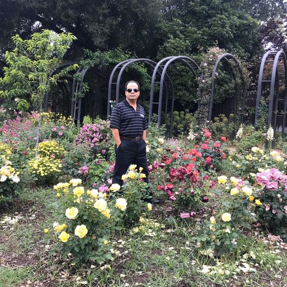 Meet your Posher, Reda - Picture 1 of 1